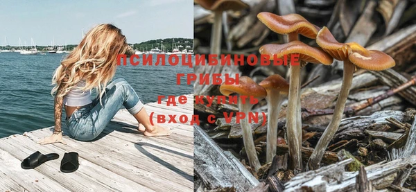 соль курить ск Заводоуковск