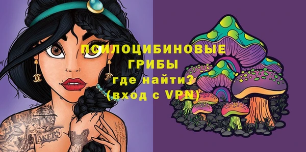ECSTASY Заволжье