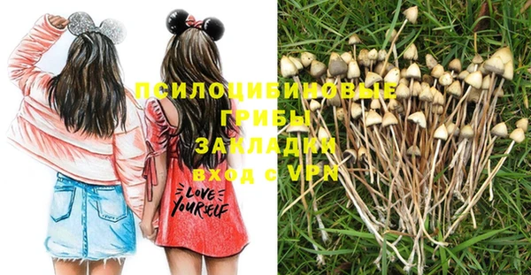 соль курить ск Заводоуковск
