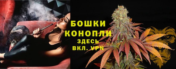 соль курить ск Заводоуковск